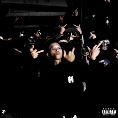 you are fake? Front Cover