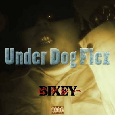 UnderDogFlexのジャケット写真