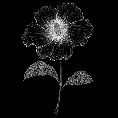 Zaagのジャケット写真