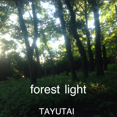 forest light Front Cover