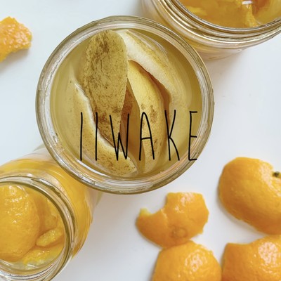 IIWAKEのジャケット写真