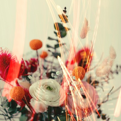 忘れないで (Piano Ver.)のジャケット写真