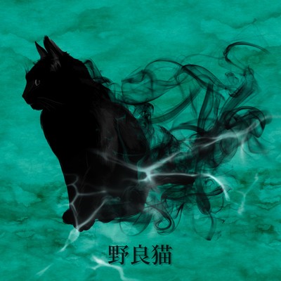 Stray Cat Front Cover