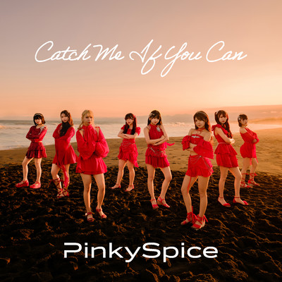 Catch Me If You Can Front Cover