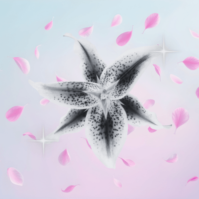 saikai (feat. J1L) Front Cover