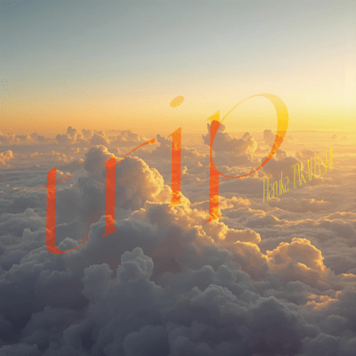 trip Front Cover