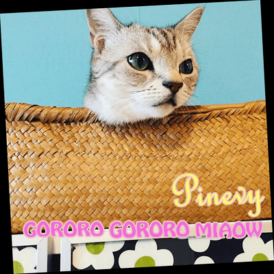 GORORO GORORO MIAOW (feat. Yuki Matsuura) Front Cover