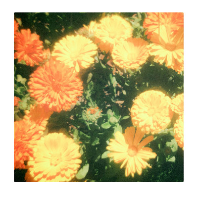 natsu ga kurumaeni Front Cover