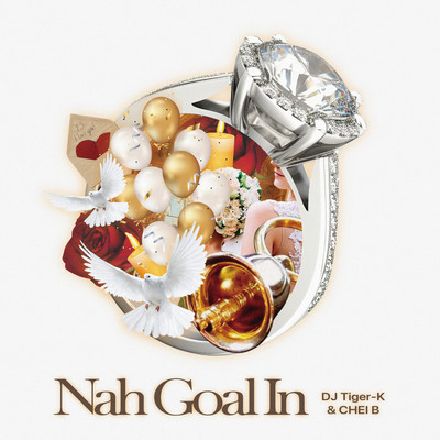 Nah Goal In Front Cover