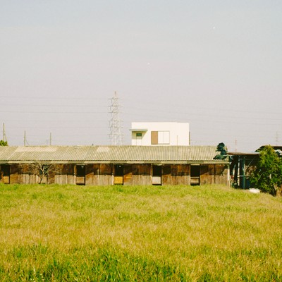 春吹けばのジャケット写真