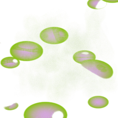 GISELLEのジャケット写真