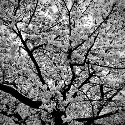 I Don't Know Front Cover