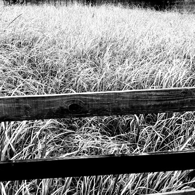 Stand By Me Front Cover