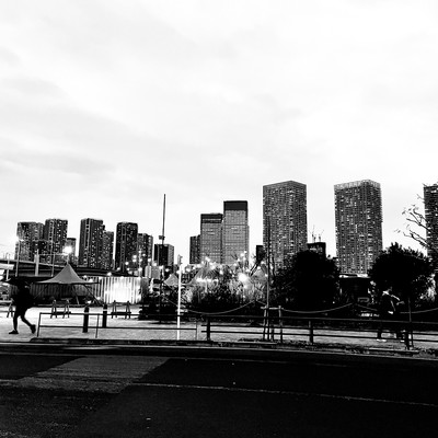 The Moon and the North Star Front Cover