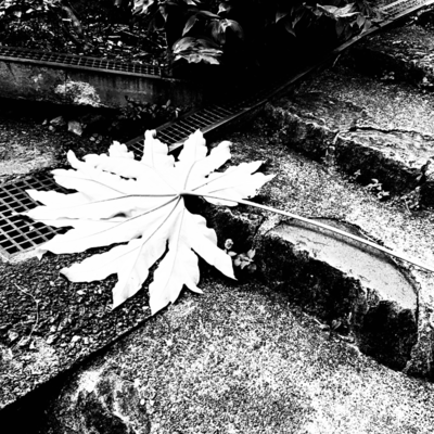 Epilogue Front Cover