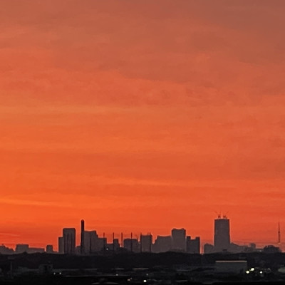 ふしだらのジャケット写真