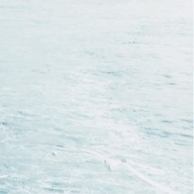 飾らない言葉のジャケット写真