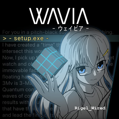 VVAVIA -setup- Front Cover