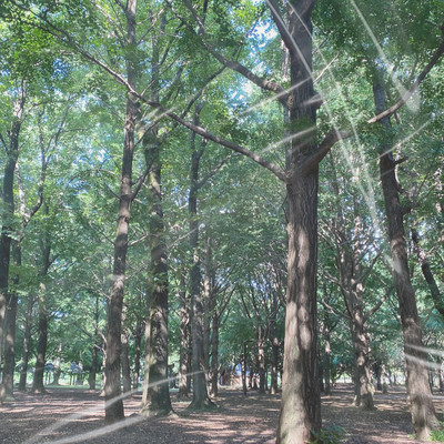 Break!のジャケット写真