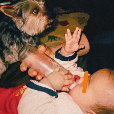 Giftのジャケット写真