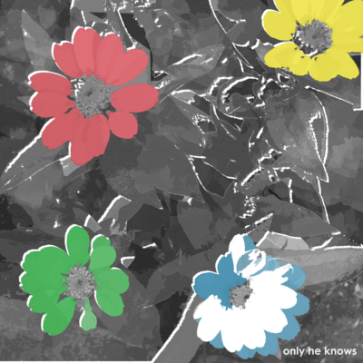 hikari / grey Front Cover