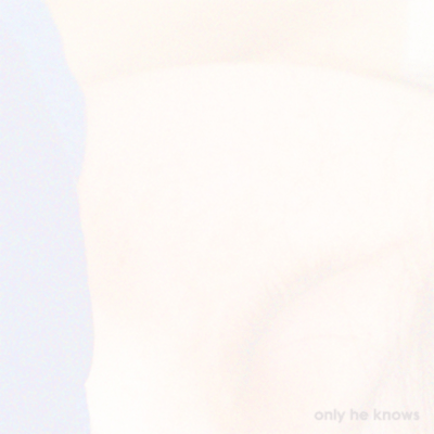 さめないのジャケット写真