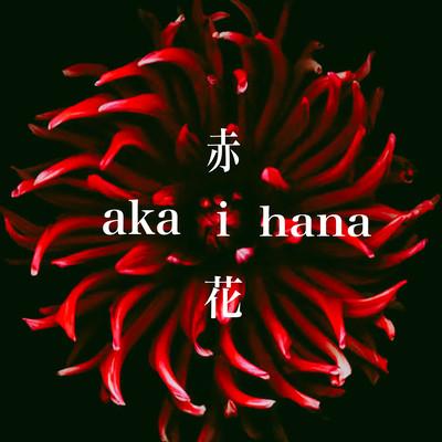 赤い花のジャケット写真