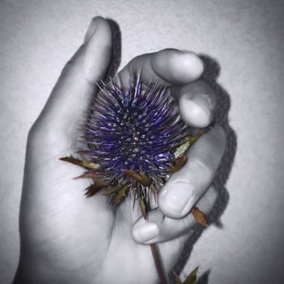 psycho serenadeのジャケット写真