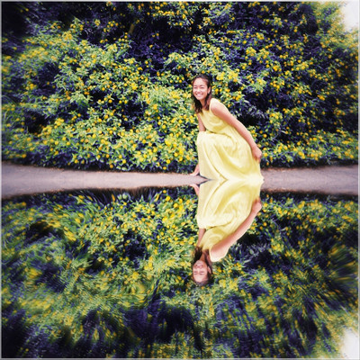 Kira kira flower field Front Cover