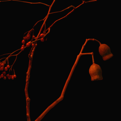 報復 (feat. Yohji Igarashi)のジャケット写真