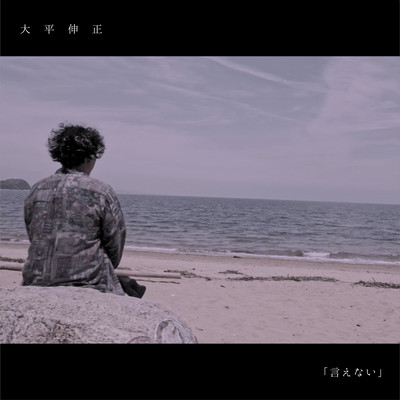 言えないのジャケット写真