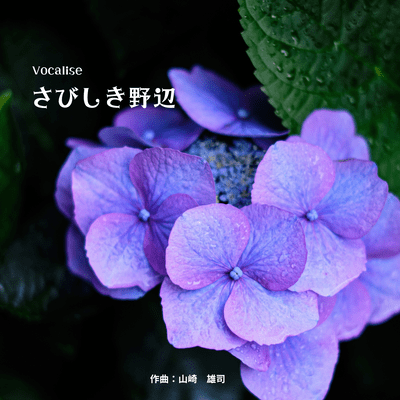 the vocalise-lonely field Front Cover