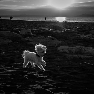 Struggleのジャケット写真