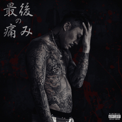 最後の痛みのジャケット写真