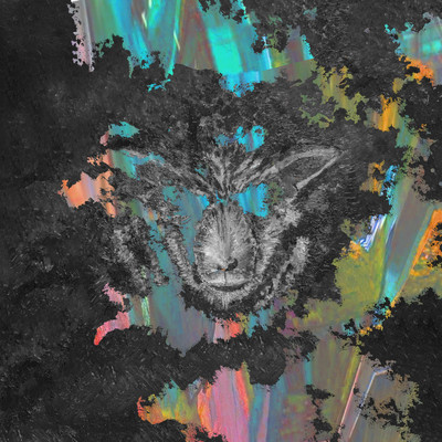 Black sheep Front Cover