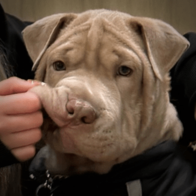 HIGHLIGHTのジャケット写真