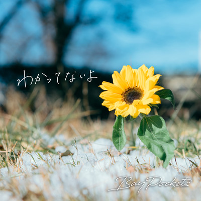 Wakattenaiyo Front Cover