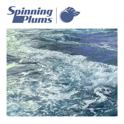 Waves Front Cover