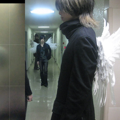 fallen angel Front Cover
