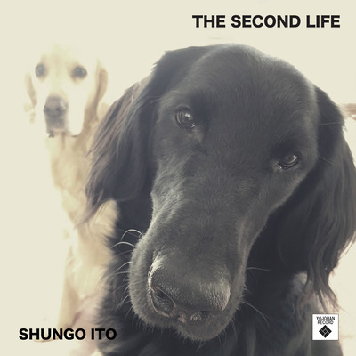 THE SECOND LIFE (2021 Remaster) Front Cover