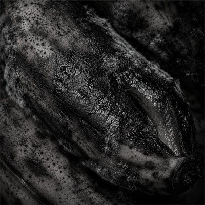 Bitterness (feat. Mike Larry Draw) Front Cover