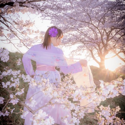 ことほぎのジャケット写真