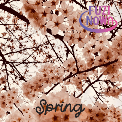 Springのジャケット写真