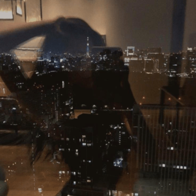 No signalのジャケット写真