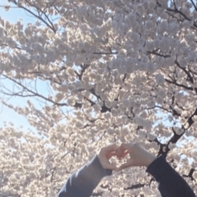 Before we can no longer meet Front Cover