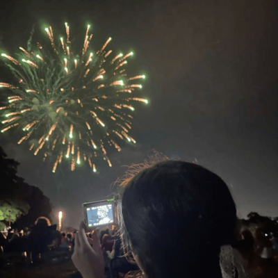 The Language of Fireworks Front Cover