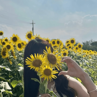 When Summer Ends Front Cover