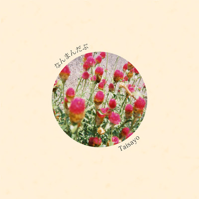 N.M.D.B. Front Cover