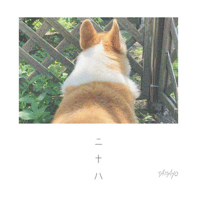 二十八のジャケット写真