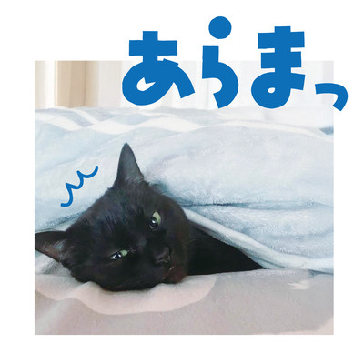 あらまっのジャケット写真
